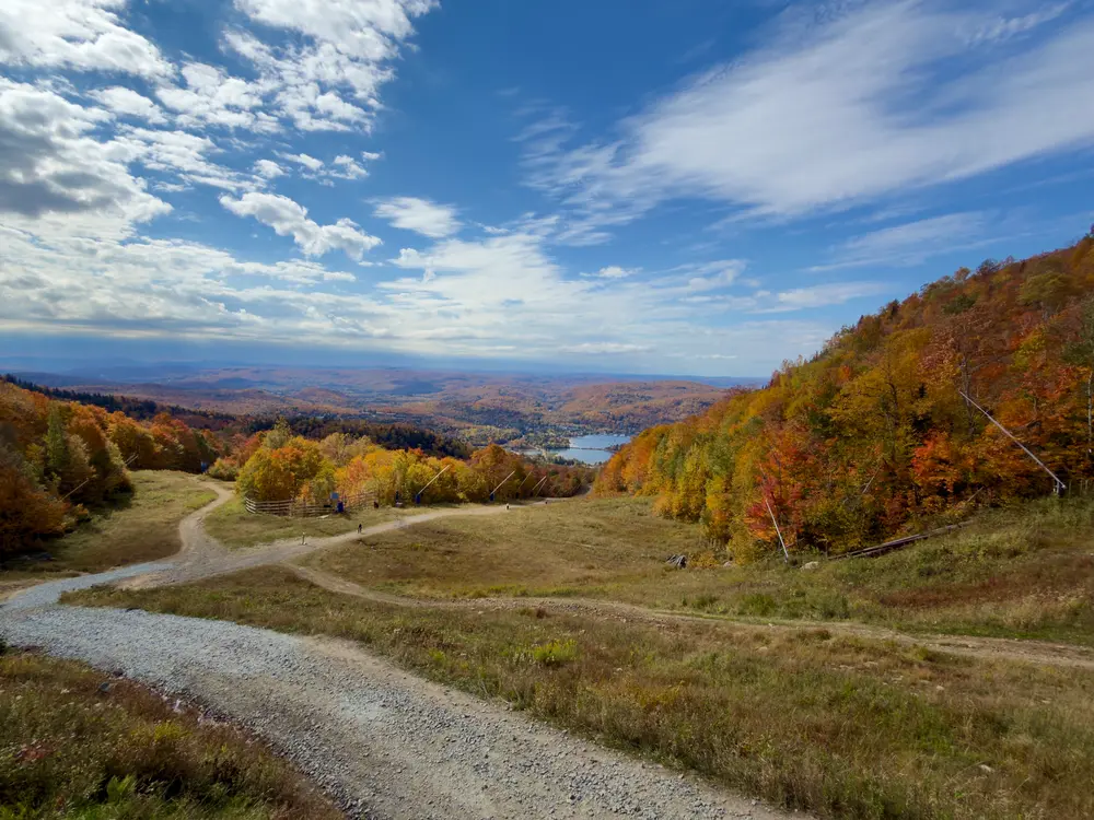 A hiking trail surrounded by autumn foliage in Québec
